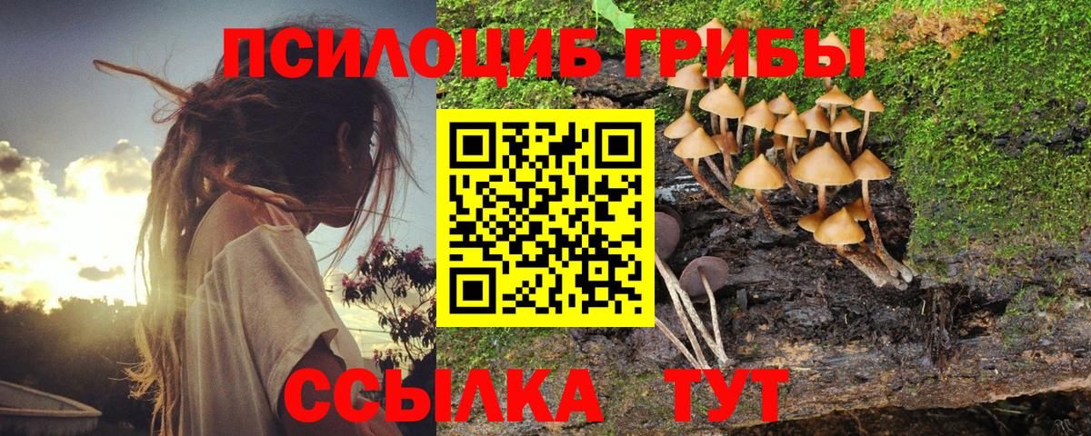 Галлюциногенные грибы мицелий Надым